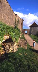 [Afbeelding product]