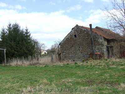 [Afbeelding product]