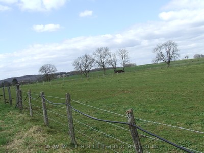 [Afbeelding product]